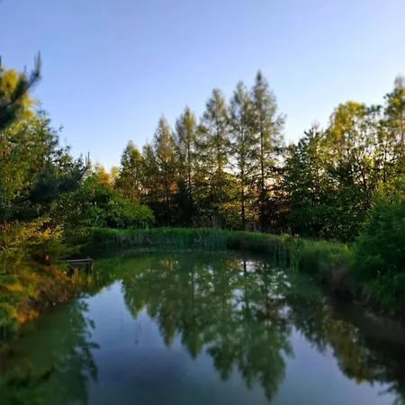 בקתה Osada Glebuczek - W Beskidach